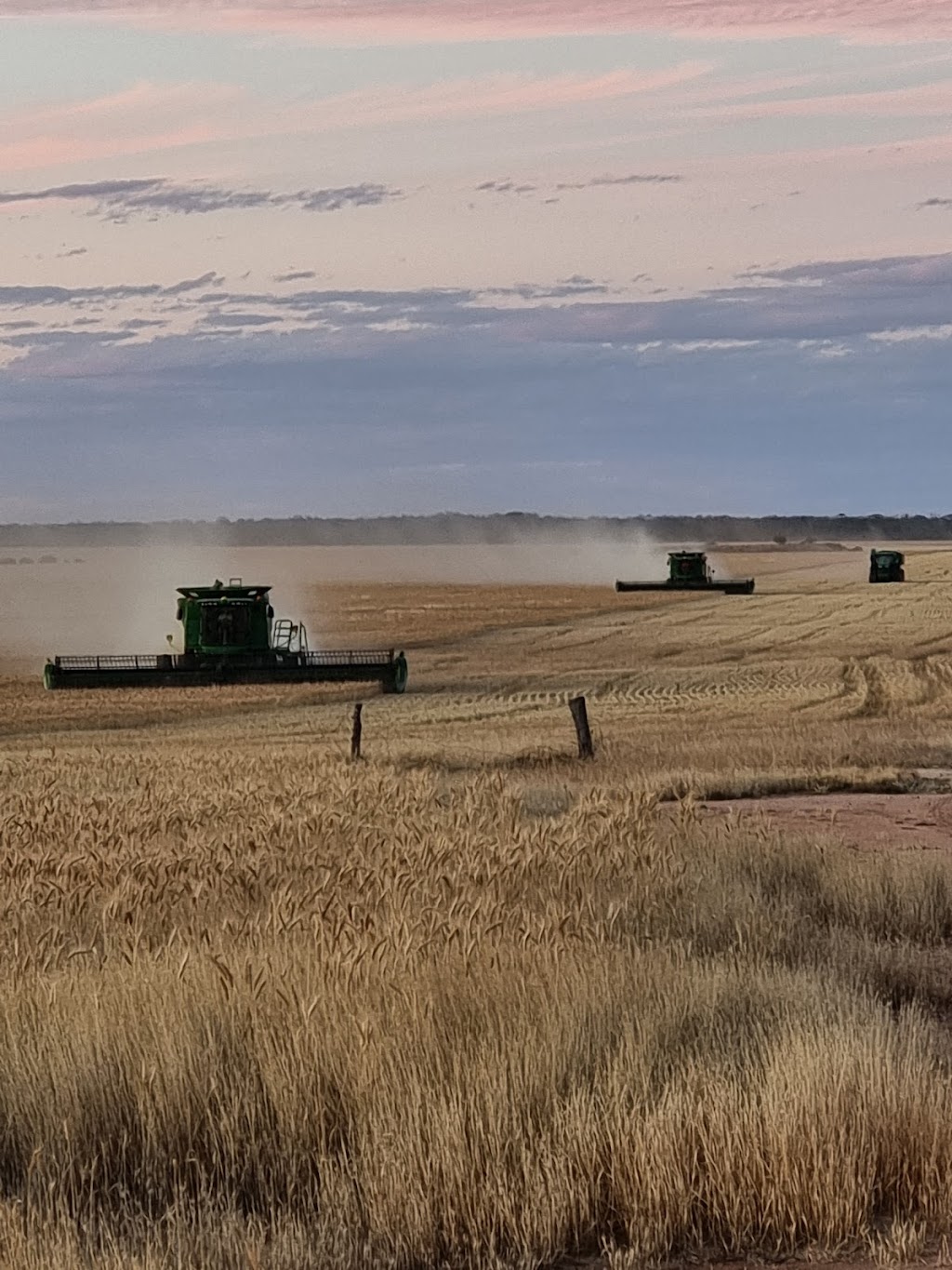 Merredin Farms Pty Ltd | 1 Mitchell St, Merredin WA 6415, Australia | Phone: (08) 9038 7410