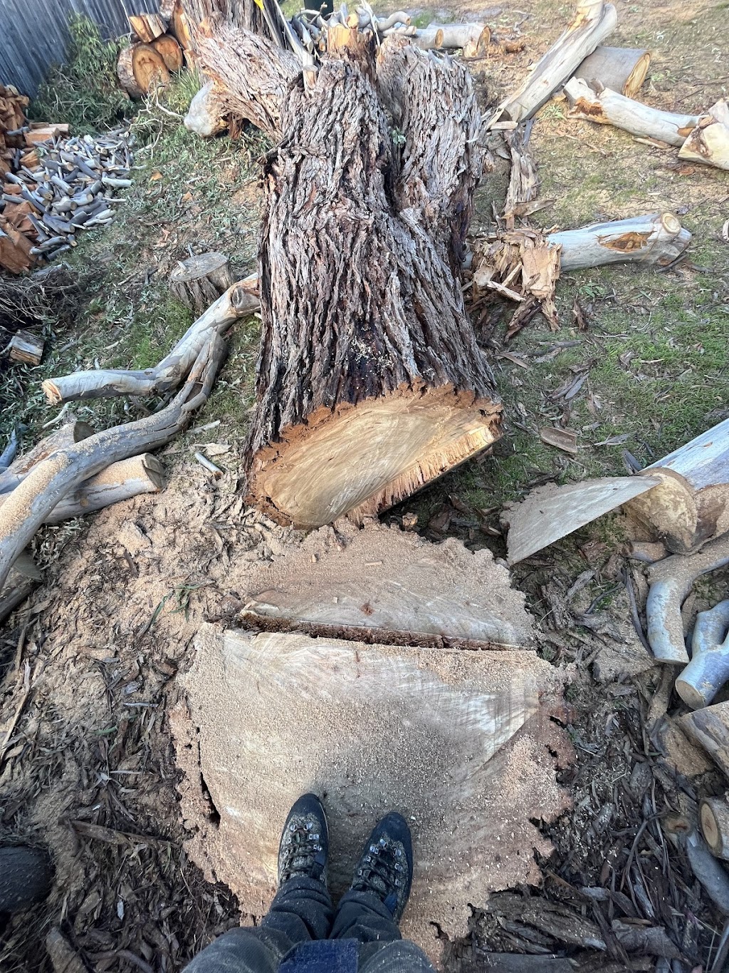 The Green Barber Tree Service | 70 Carlton Beach Rd, Dodges Ferry TAS 7173, Australia | Phone: 0433 804 284