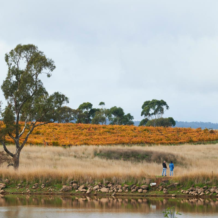 Glenhope Vineyard | 2115 Burke and Wills Track, Baynton VIC 3444, Australia | Phone: 0418 370 720