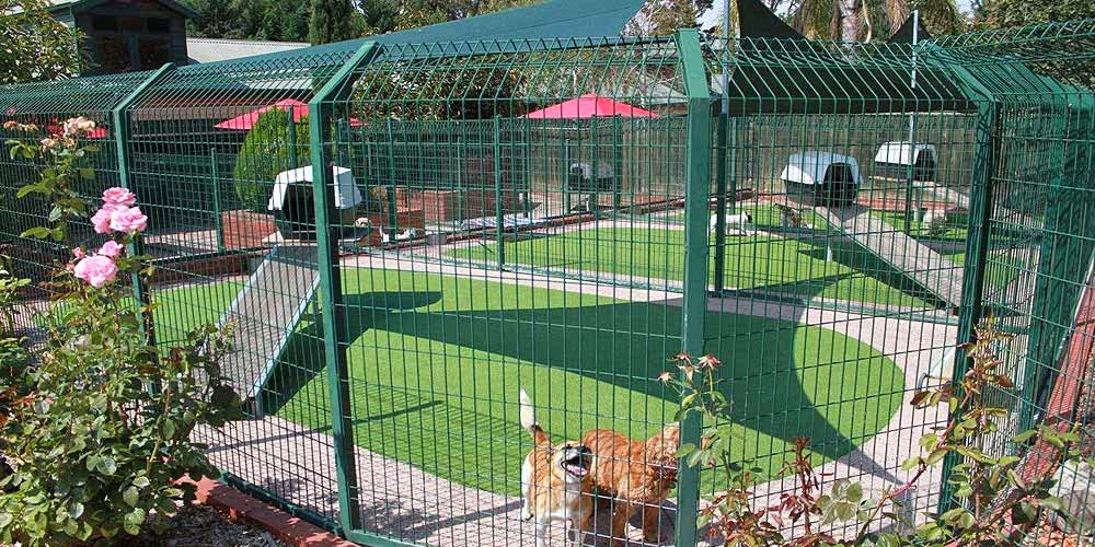Cottage Kennels and Cattery |  | 248 Yan Yean Rd, Plenty VIC 3090, Australia | 0394361531 OR +61 3 9436 1531