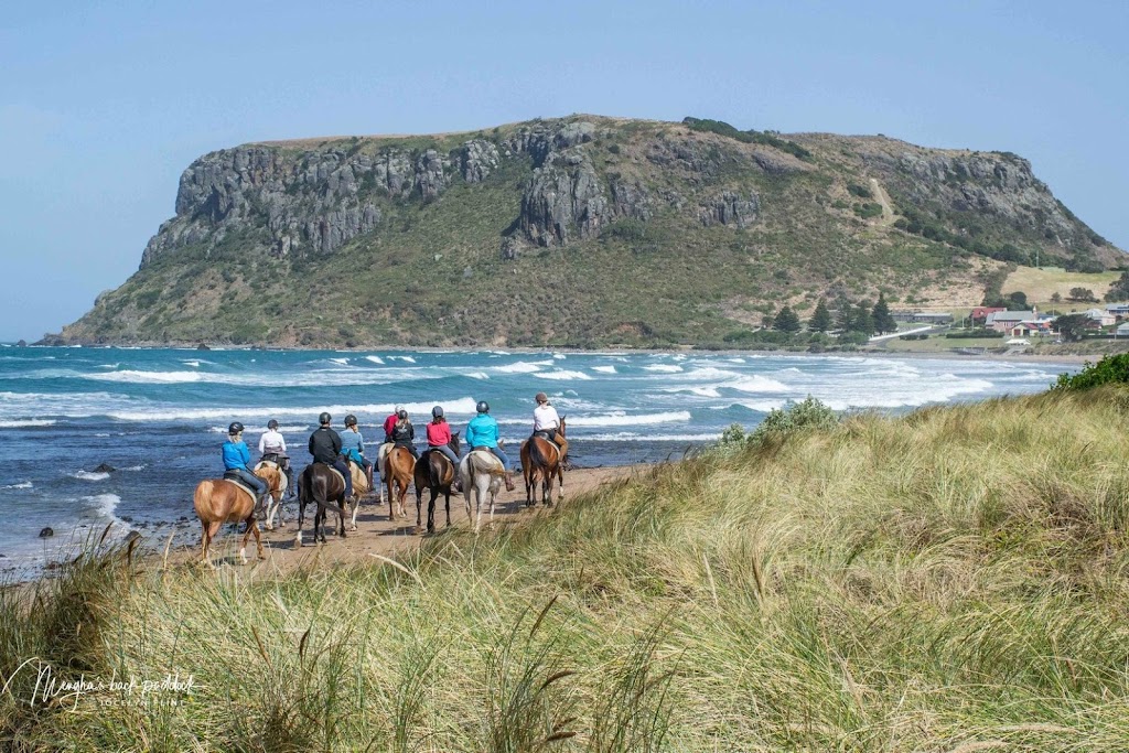 Australian Horse Adventures | travel agency | 88 Westwood Rd, Carrick TAS 7291, Australia | 1800586284 OR +61 1800 586 284