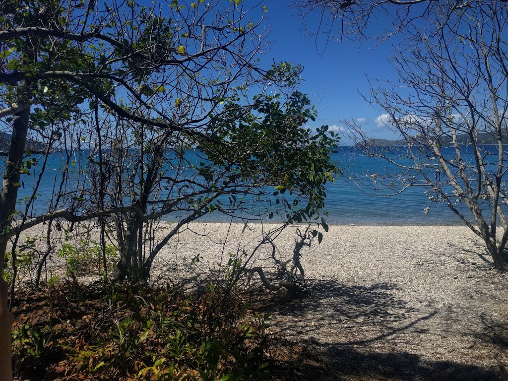 Coral beach walking track | Shute Harbour QLD 4802, Australia | Phone: 0481 820 444