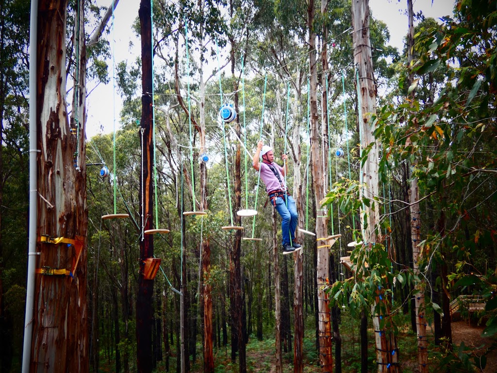 Kinglake Forest Adventures | tourist attraction | 1419 Whittlesea-Yea Rd, Kinglake West VIC 3757, Australia | 0357711287 OR +61 3 5771 1287