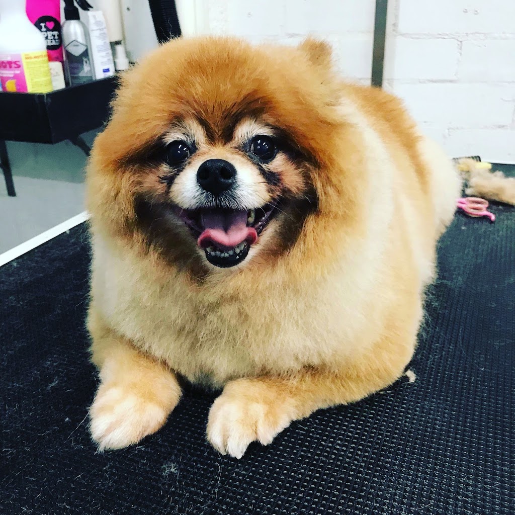 Camden bark dog spa | 14 Mitchell St, Camden NSW 2570, Australia | Phone: (02) 4602 6020