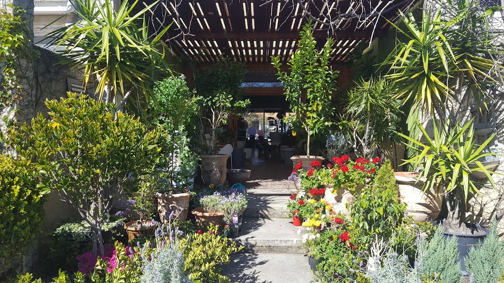 The Terrace Gardener | store | 129A Waratah Ave, Dalkeith WA 6009, Australia | 0893864499 OR +61 8 9386 4499