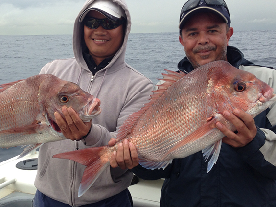 Sealord Fishing Charters | Sans Souci Park, Sans Souci NSW 2219, Australia | Phone: 0408 973 035