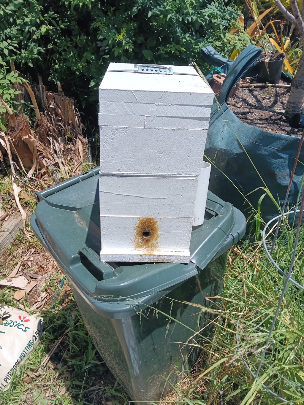 Beekeeping Honey & Native | 5 Fitzgibbon Ln, Rosemeadow NSW 2560, Australia | Phone: 1300 842 520