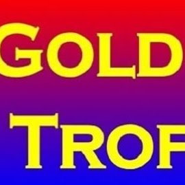 Gold Star Trophies | 256 Leitchs Rd, Brendale QLD 4500, Australia | Phone: 0403 150 857