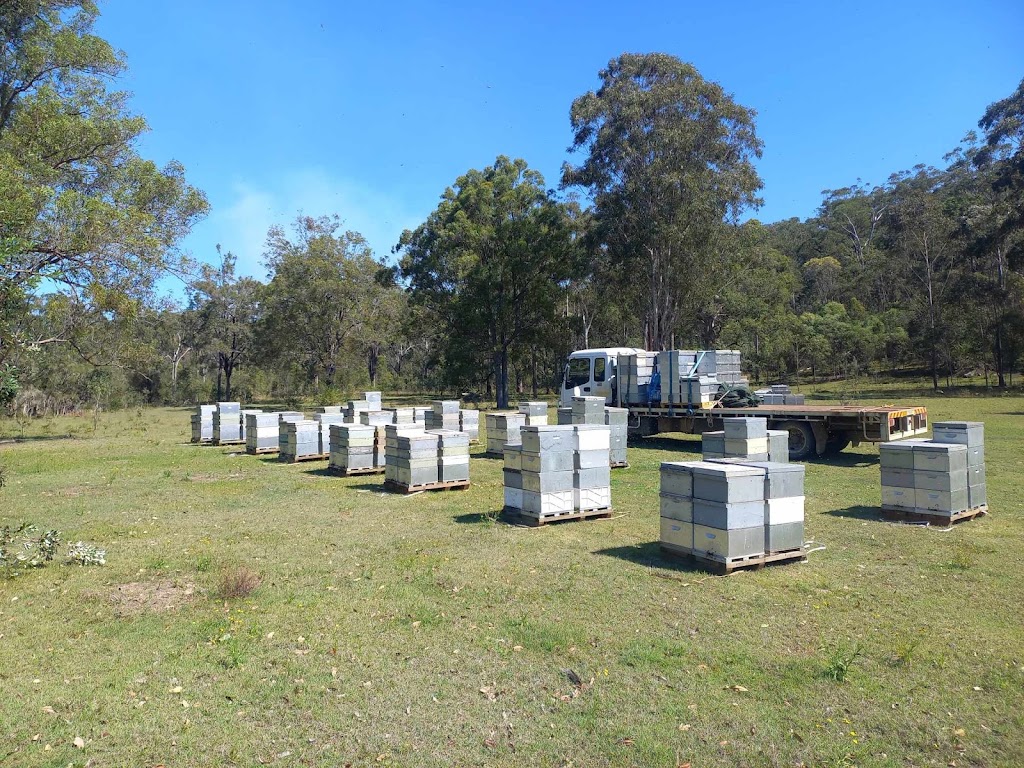 Prestons Honey | 544 Armidale Rd, Elland NSW 2460, Australia | Phone: 0429 697 204