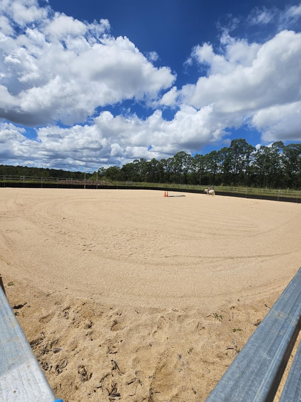 Logical Equine Lessons | 795 Avenue Rd, Ellangowan NSW 2470, Australia | Phone: 0402 748 692