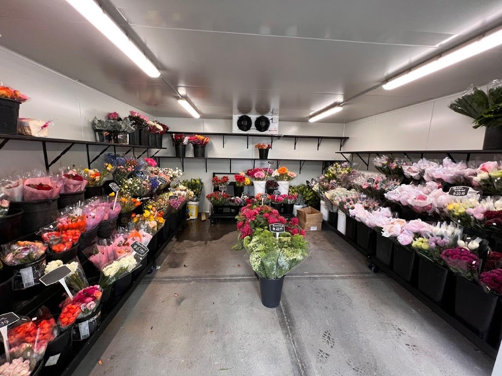 Central Coast Flower Markets | 387A The Entrance Rd, Erina Heights NSW 2260, Australia | Phone: (02) 4367 1222
