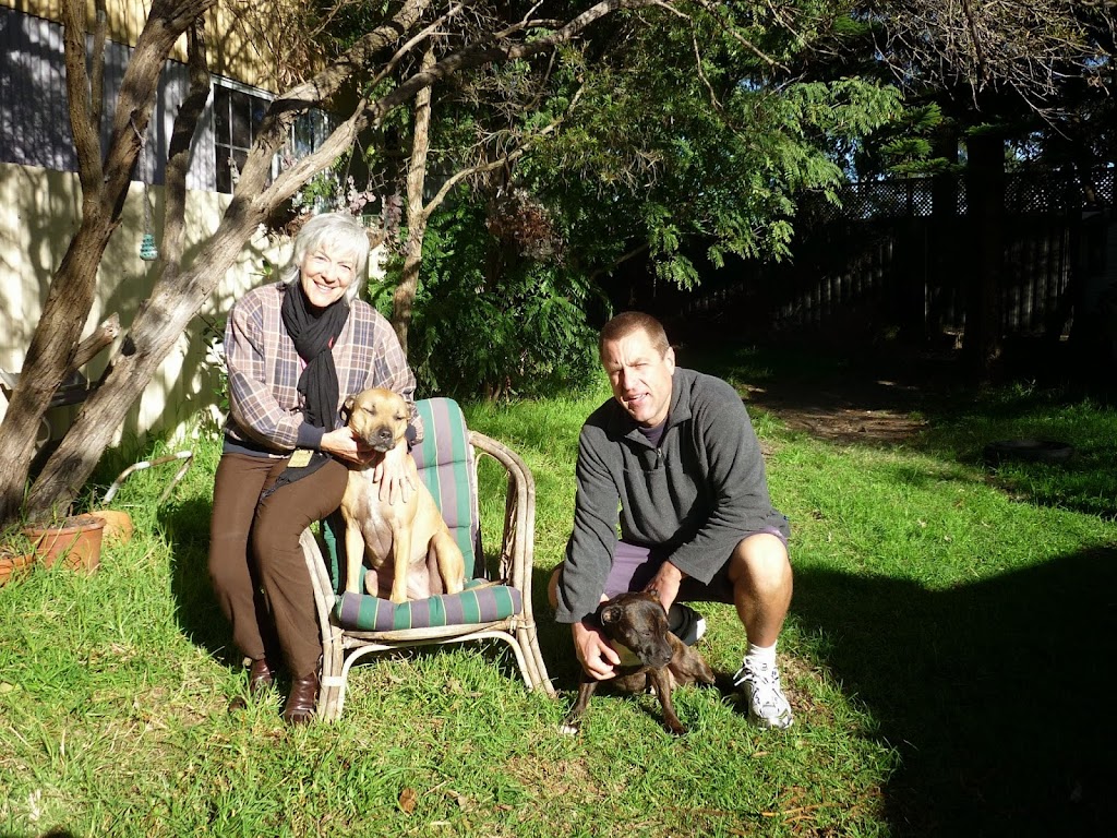 Paws Inn at Botany Bay | 12 Booralee St, Botany NSW 2019, Australia | Phone: 0408 066 313