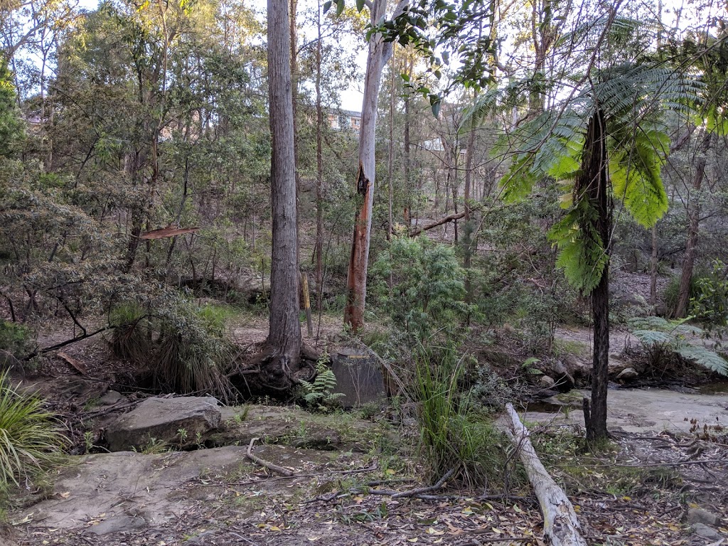Timber Grove Reserve | Glenhaven NSW 2156, Australia