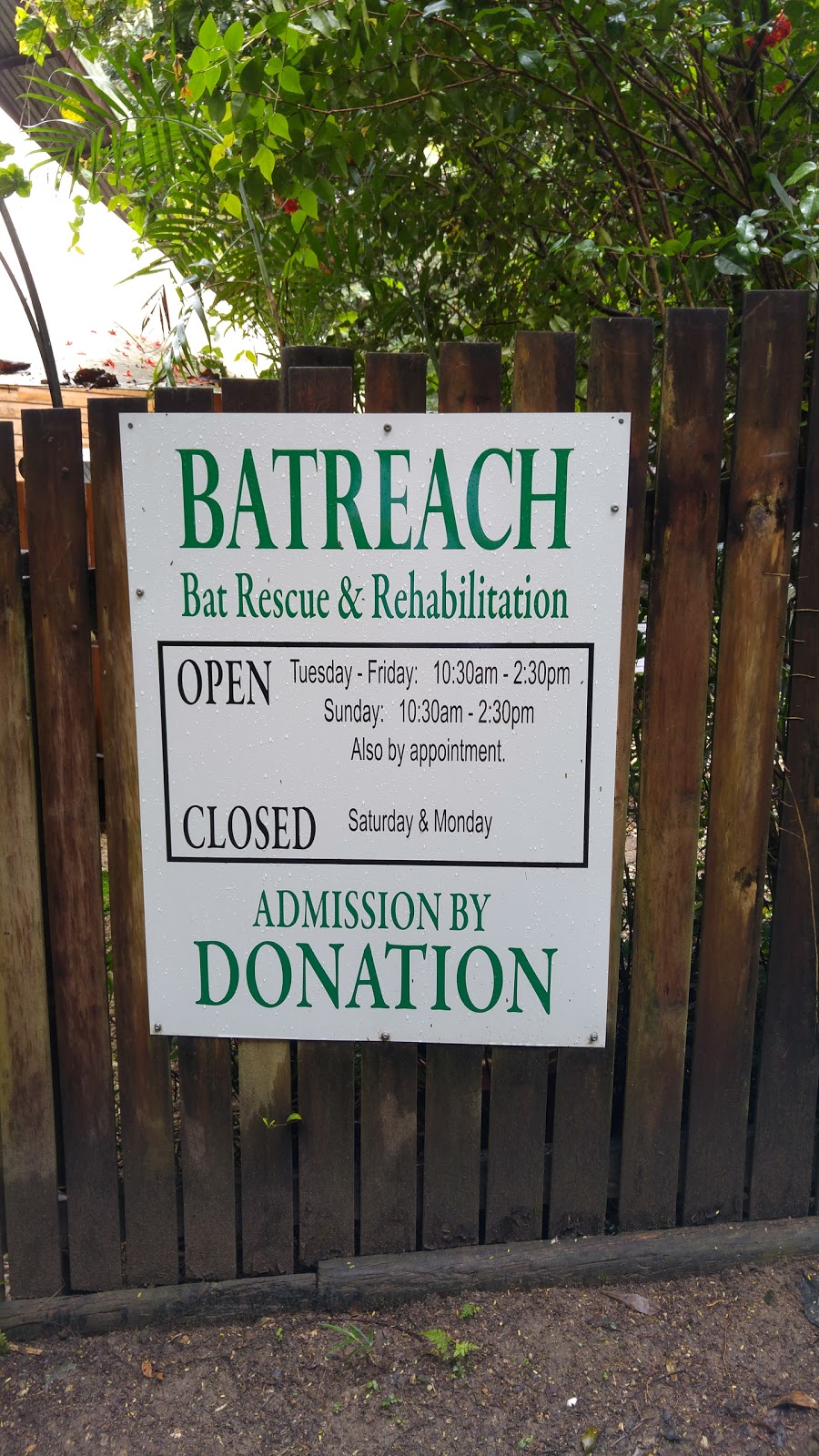 Batreach Bat Rescue & Rehabilitation | veterinary care | 13 Barang St, Kuranda QLD 4881, Australia | 0740938858 OR +61 7 4093 8858