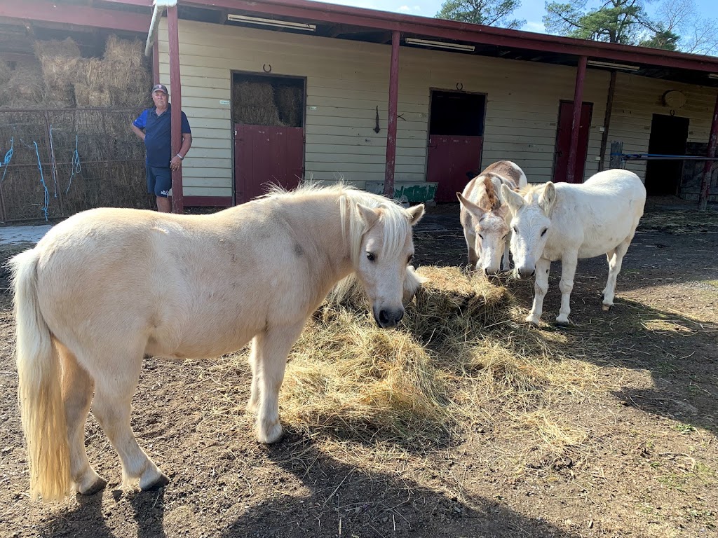 Haydi’s Petnanny Service and donkeys and ponies for hire | 17 Bailey Grove, Wandin North VIC 3139, Australia | Phone: 0432 245 814