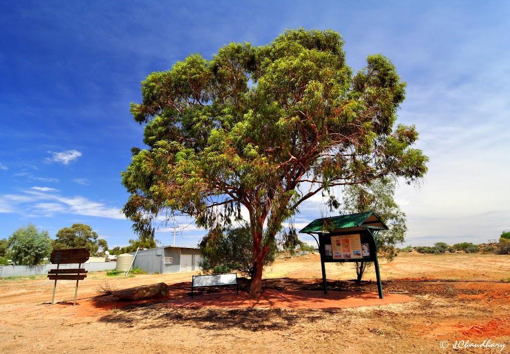 Tibooburra Outback Public School | Briscoe St, Tibooburra NSW 2880, Australia | Phone: (08) 8091 3317