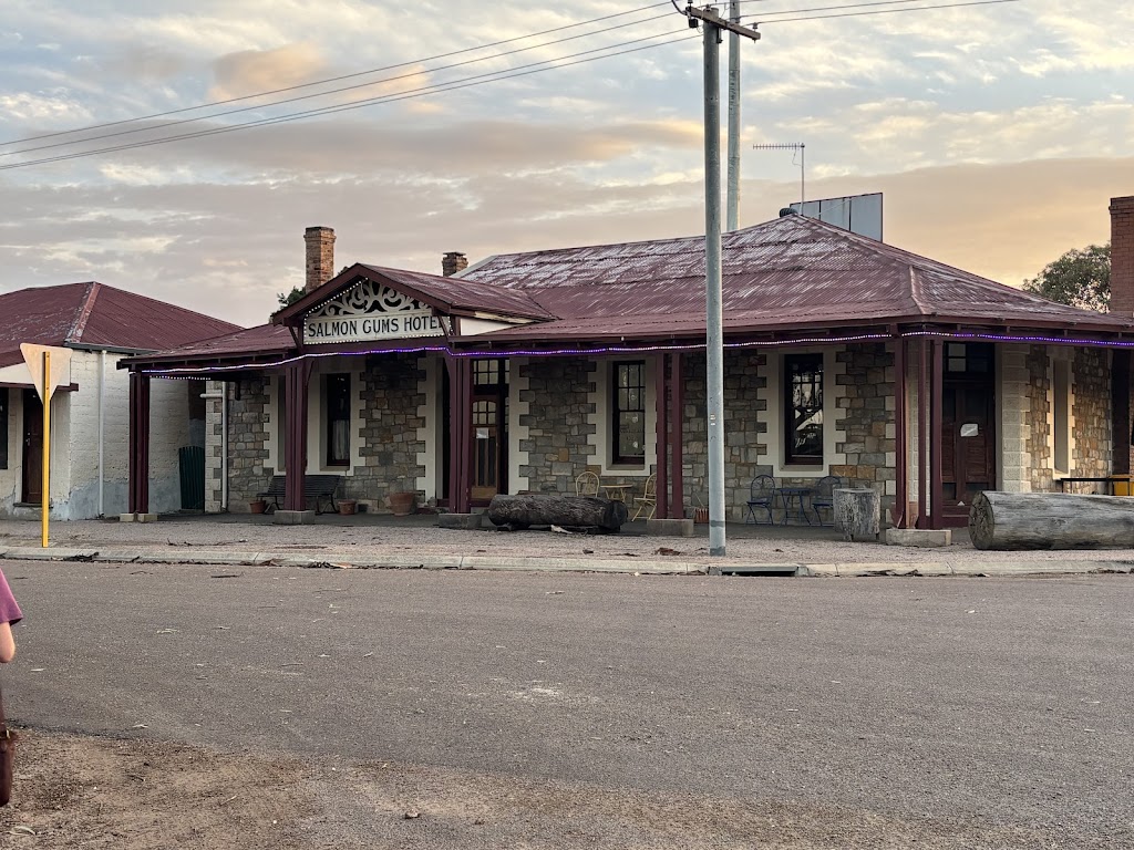 Salmon Gums Hotel | 18 Rogers St, Salmon Gums WA 6445, Australia | Phone: (08) 9078 5040
