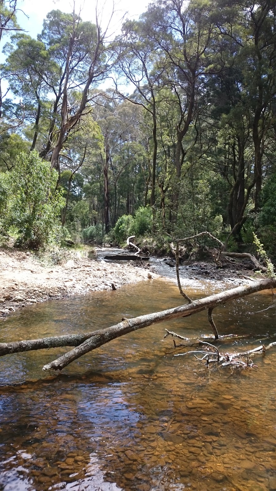 Lerderderg State Park | Victoria, Australia