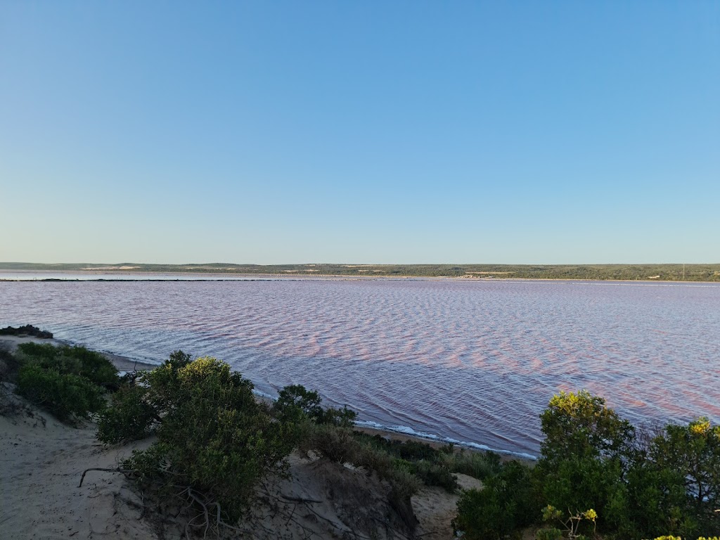 Hutt Lagoon Pink Lake | George Grey Dr, Yallabatharra WA 6535, Australia | Phone: (08) 9934 1202