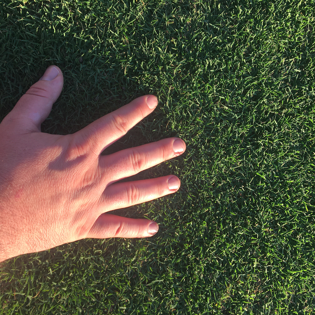 Grow Lawn Care Australia | 1 Windsor Rd, Kellyville NSW 2155, Australia | Phone: 0405 391 280