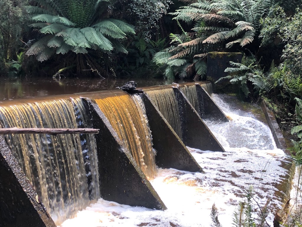 Babbling Brook Farm |  | 125 Donnellys Rd, Geeveston TAS 7116, Australia | 0416295566 OR +61 416 295 566