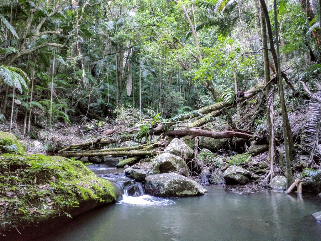 Brushbox Falls Look Out | Unnamed Rd,, Border Ranges NSW 2474, Australia