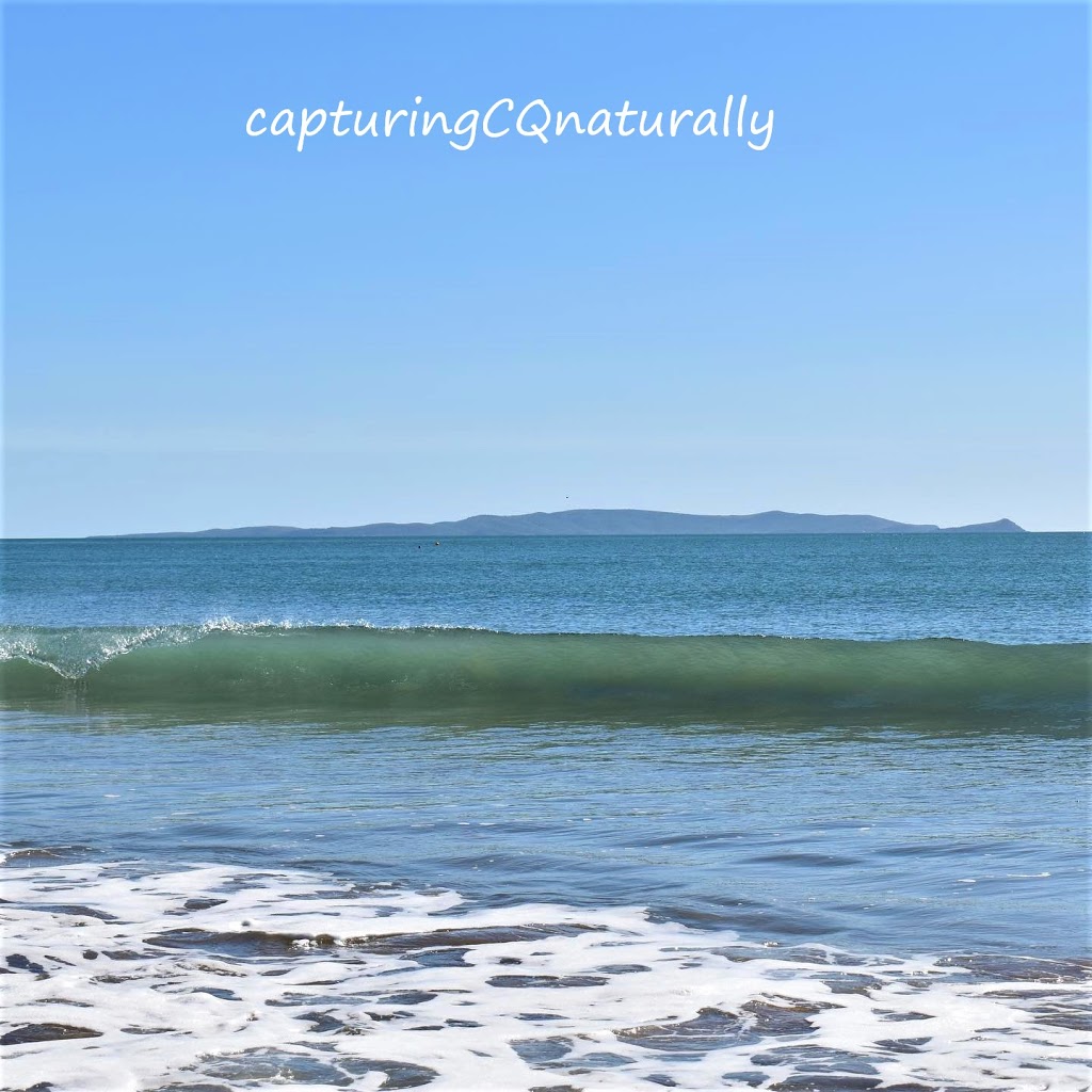 capturingCQnaturally |  | 2 Coast Ct, Mulambin QLD 4703, Australia | 0438997510 OR +61 438 997 510