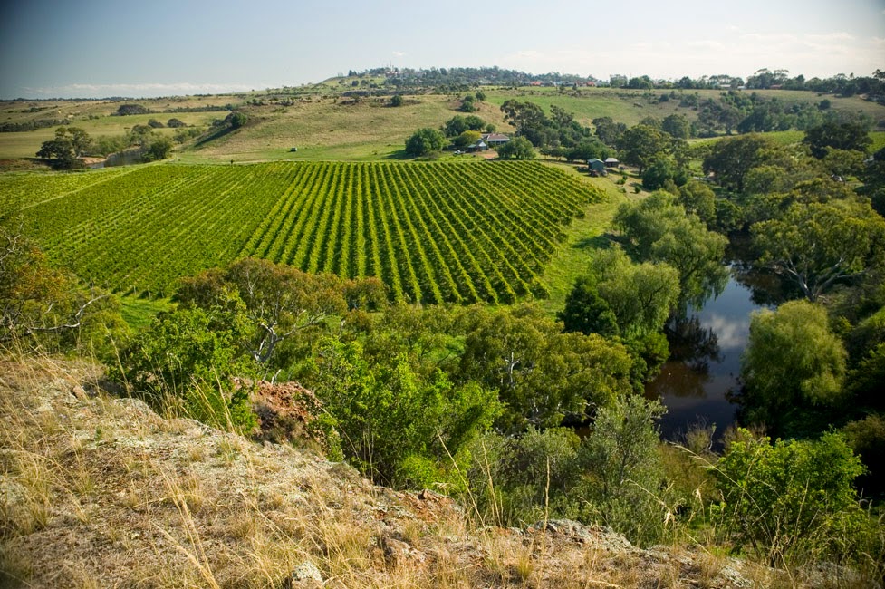 Craiglee Vineyard | tourist attraction | 785 Sunbury Rd, Sunbury VIC 3429, Australia | 0412941927 OR +61 412 941 927