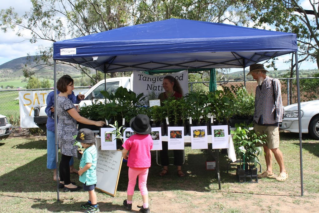 Tanglewood Natives | 64 Reibstein Gully Rd, Lefthand Branch QLD 4343, Australia | Phone: (07) 5462 6473