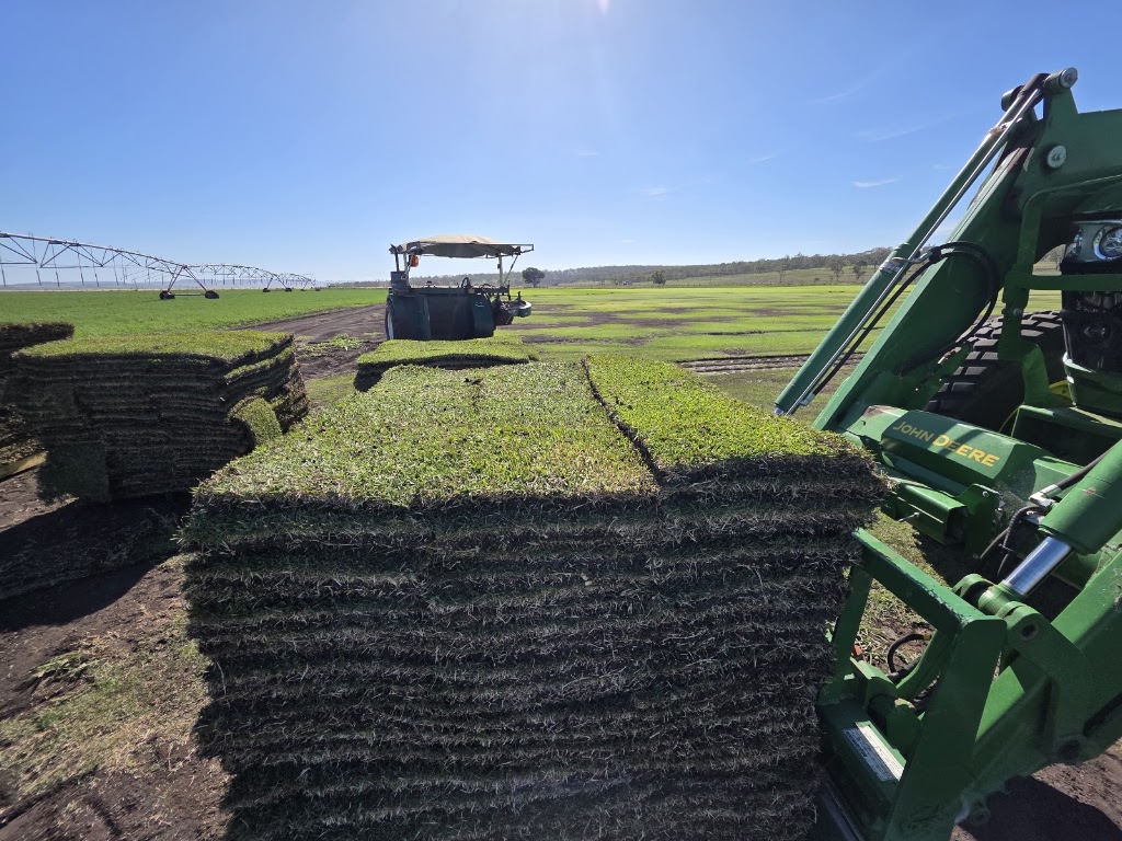 Glengallan Turf | 1122 Willowvale Rd, Massie QLD 4370, Australia | Phone: 0437 015 663