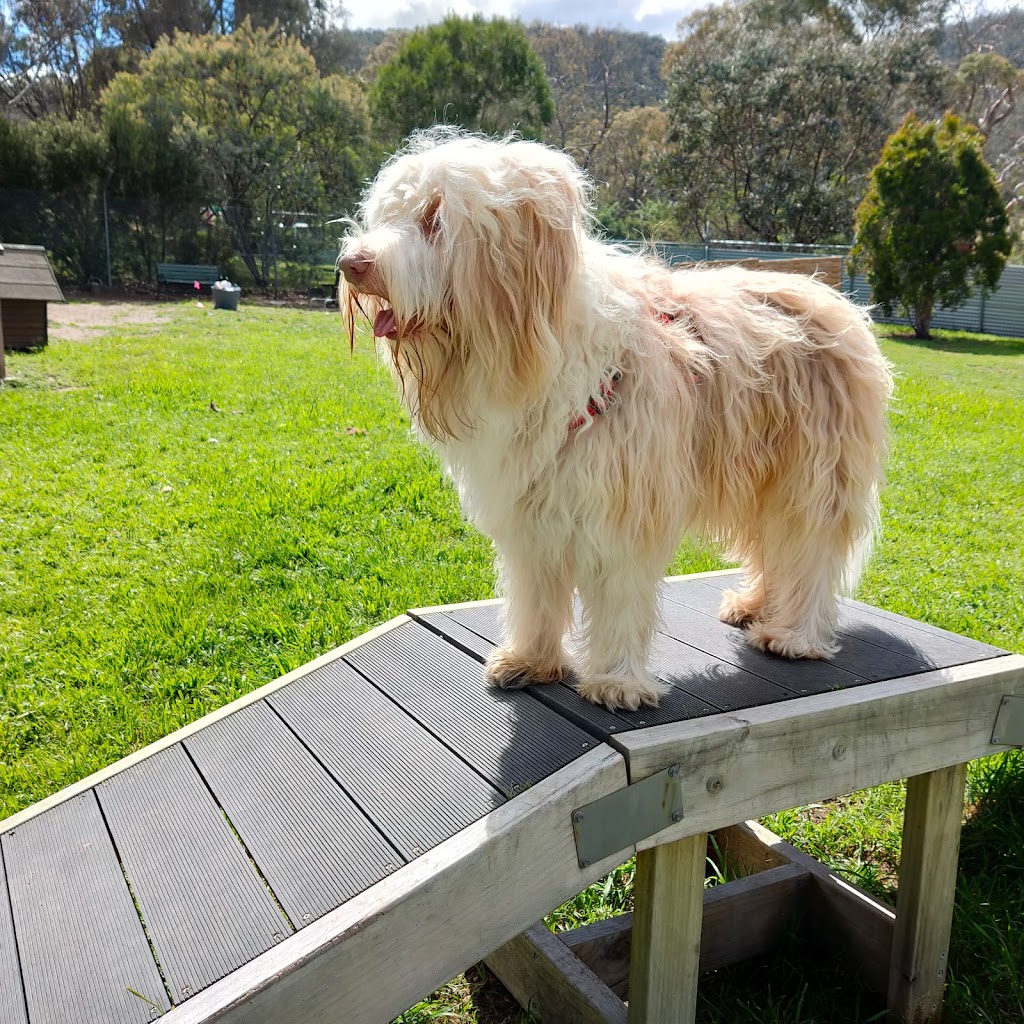 Dogs’ Home of Tasmania | 101 Scotts Rd, Risdon Vale TAS 7016, Australia | Phone: (03) 6243 5177