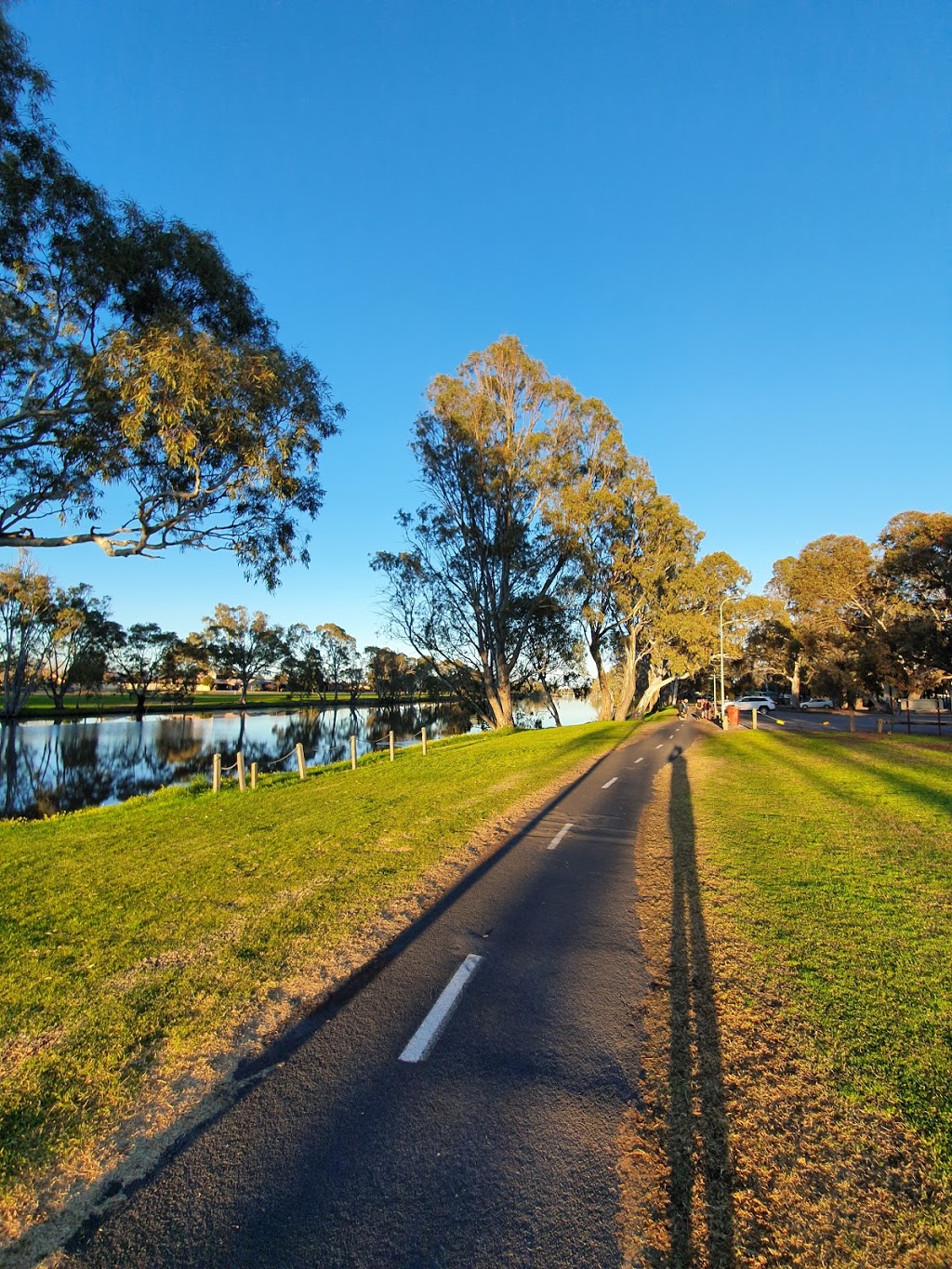 Wimmera River parkrun, Horsham | gym | Sawyer Park, Memorial Dr, Horsham VIC 3400, Australia