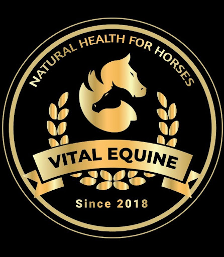 Vital Equine Natural Horse Care | 601 Thornbill Dr, Murwillumbah NSW 2484, Australia | Phone: 0428 201 814