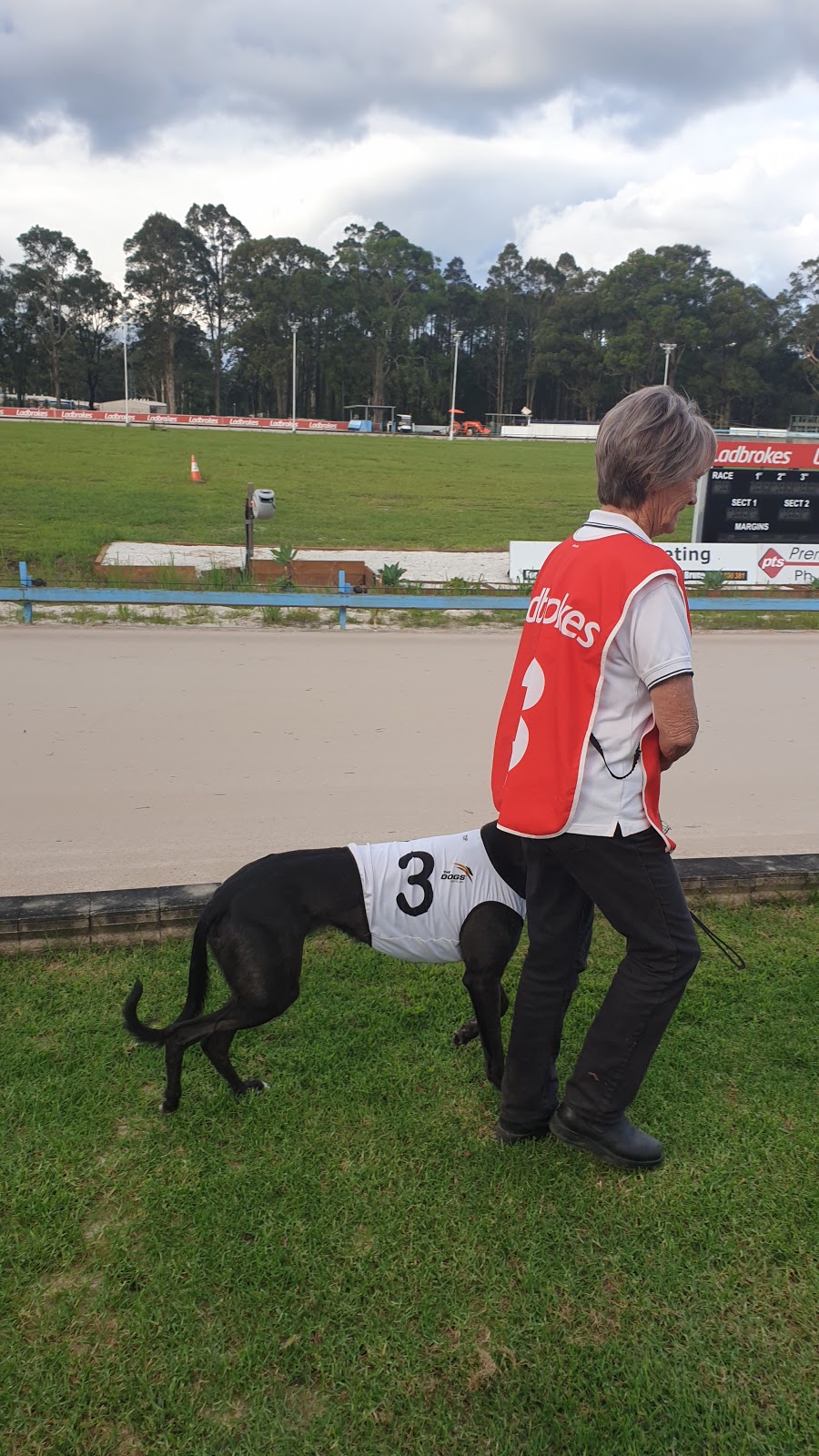 Shoalhaven Greyhound Racing Club | Shoalhaven Racing Complex Albatross Road Nowra NSW Australia 2541, Albatross Rd, South Nowra NSW 2541, Australia | Phone: (02) 4421 2332