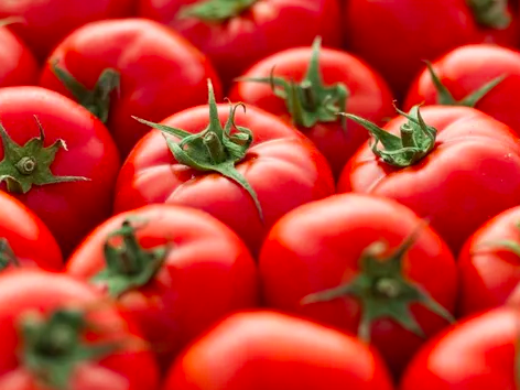 Kons Tomatoes | Adrian St, Glen Iris VIC 3146, Australia