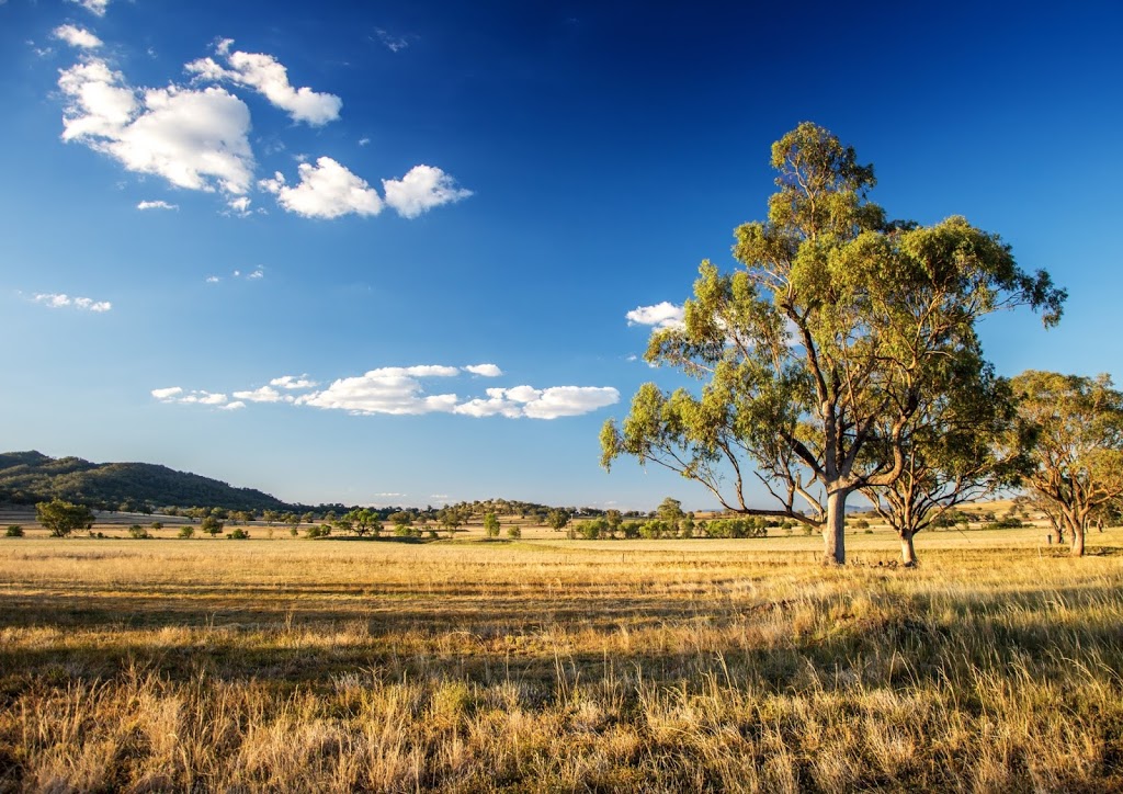 Landmark Harcourts Tamworth | real estate agency | 133 Gunnedah Rd, Tamworth NSW 2340, Australia | 0267655211 OR +61 2 6765 5211