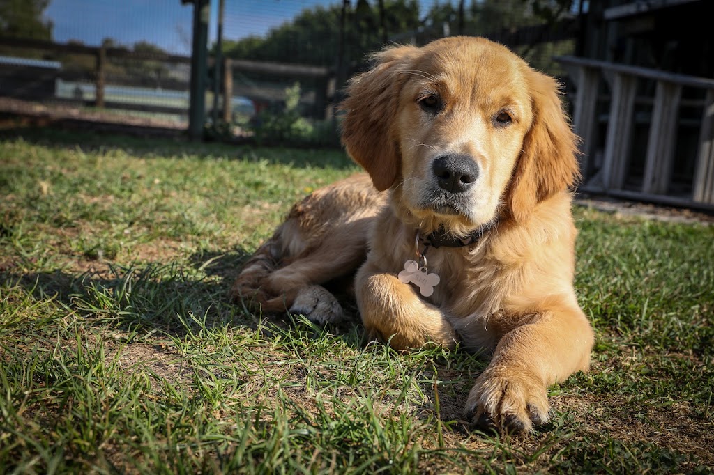 Little Farm Plays | 170 Thewlis Rd, Pakenham VIC 3810, Australia | Phone: 0409 197 969