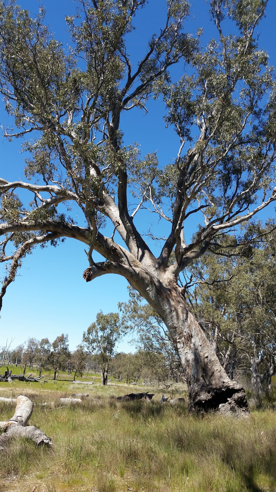 Clear Lake | school | 4006 Harrow-Clear Lake Rd, Clear Lake VIC 3409, Australia