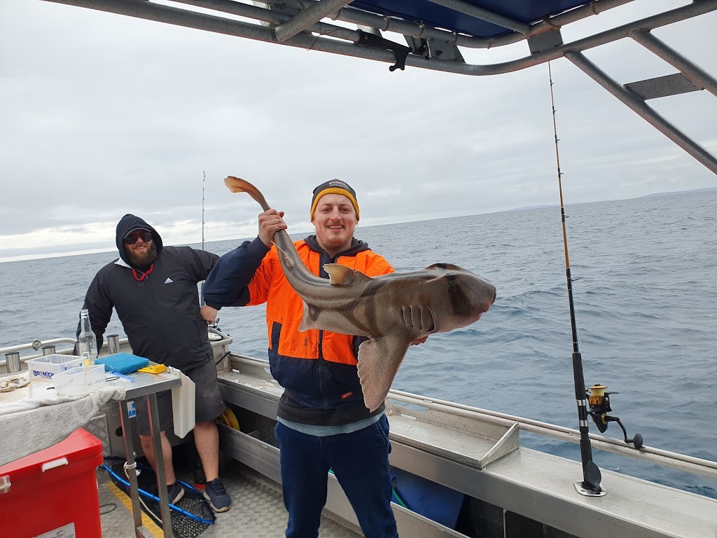 Emu Bay Fishing Charters | Jetty, Emu Bay SA 5223, Australia | Phone: 0428 996 447