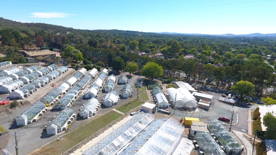 CSIRO - Black Mountain Site | Building 101, Clunies Ross St, Black Mountain ACT 2601, Australia | Phone: (02) 6246 4001
