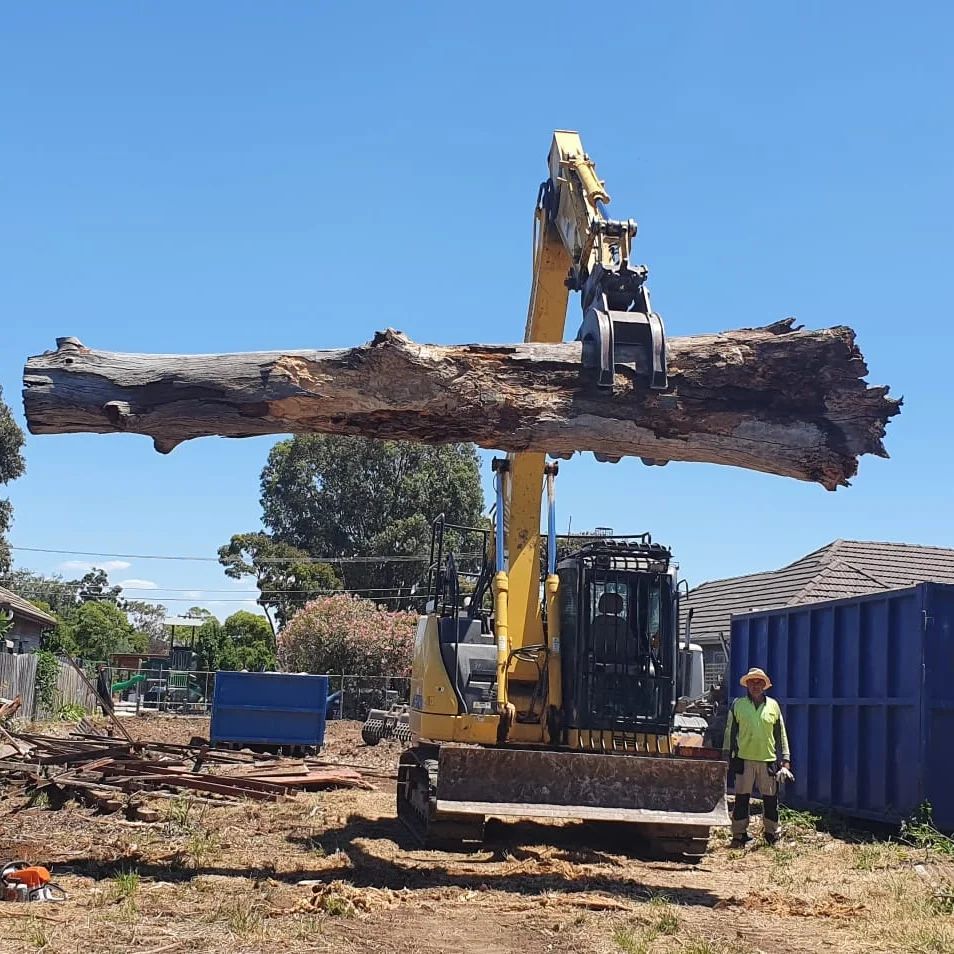 Tiger Demolition and Excavation team | 1 Natural Dr, Craigieburn VIC 3064, Australia | Phone: 0411 153 444