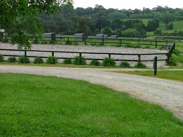 Ashford Park Horse Agistment | 225 Split Rock Rd, Beaconsfield Upper VIC 3808, Australia | Phone: 0412 394 777