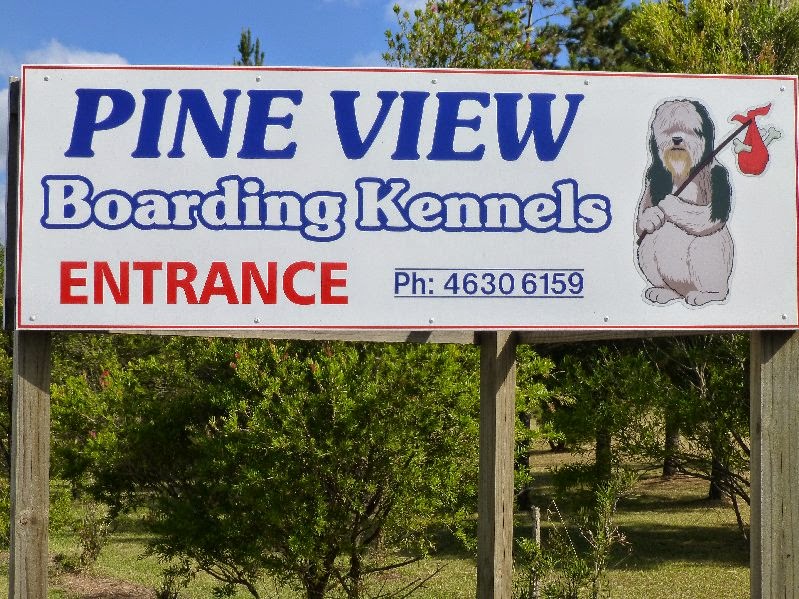 Pineview Boarding Kennels | 754 Wellcamp Westbrook Rd, Westbrook QLD 4350, Australia | Phone: (07) 4630 6159