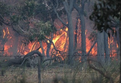 Essential Emergency Management | 38 Lara Blvd, Lara VIC 3212, Australia | Phone: 0437 853 026