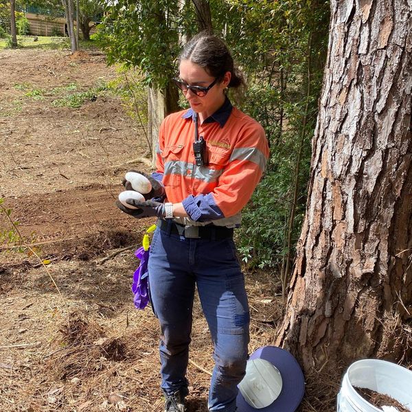 Biodiverse Environmental | 87 Eudlo School Rd, Eudlo QLD 4554, Australia | Phone: 0408 011 584