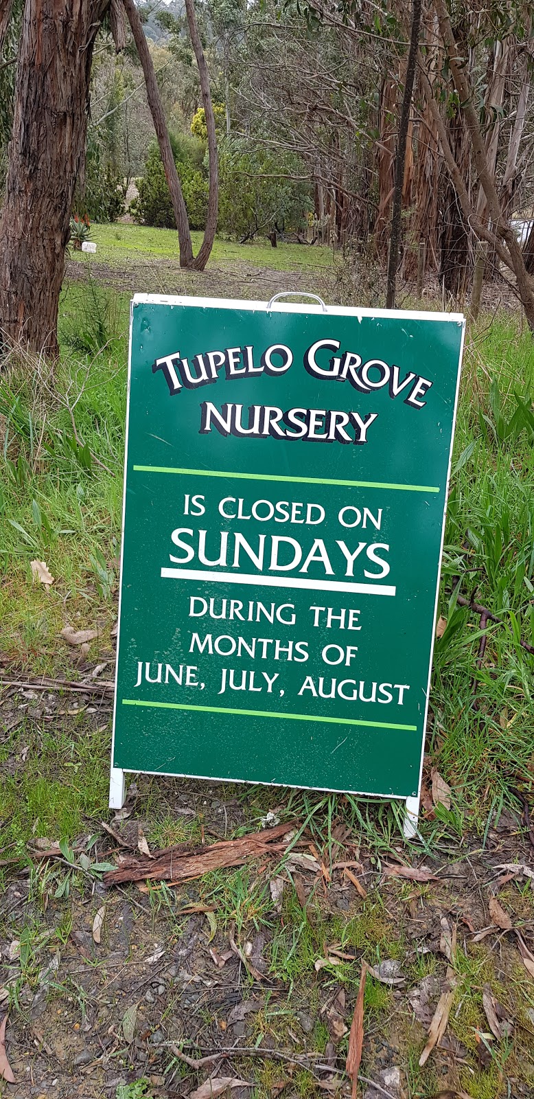 Tupelo Grove Nursery | 104 Bradbury Rd, Mylor SA 5153, Australia | Phone: (08) 8388 5456