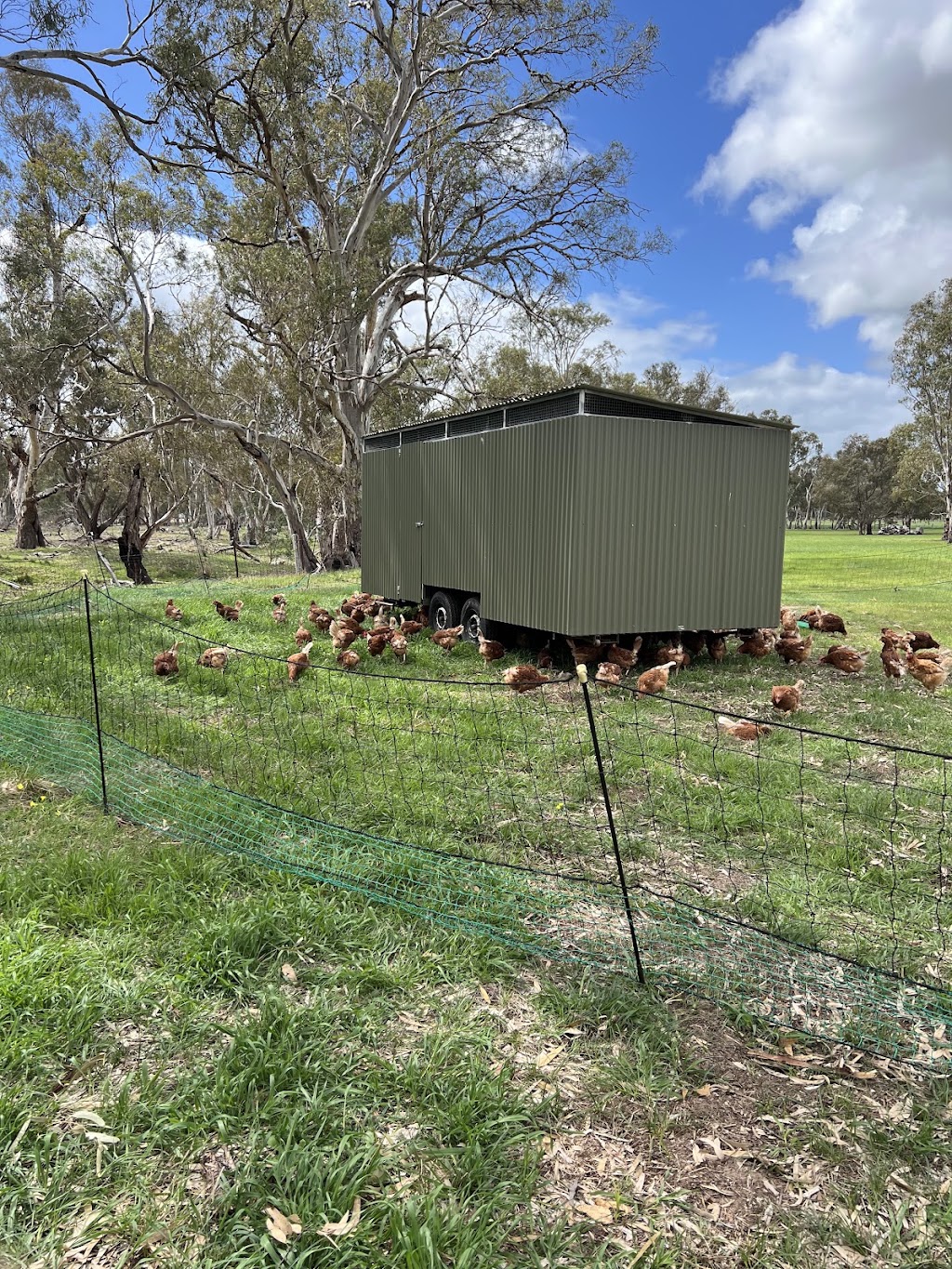 Swallows Lane Farm | 50 Swallows Ln, Dimboola VIC 3414, Australia | Phone: 0408 129 076