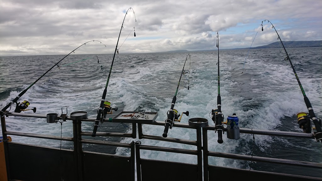 Timeout Fishing Charters | Rye Pier, Rye VIC 3941, Australia | Phone: 0400 440 705