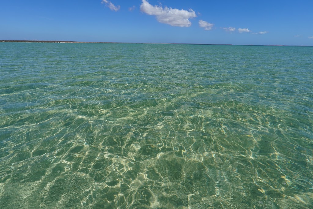 Shark Bay 4WD Tours | 1 Ocean Park Rd, Shark Bay WA 6537, Australia | Phone: (08) 9948 1765