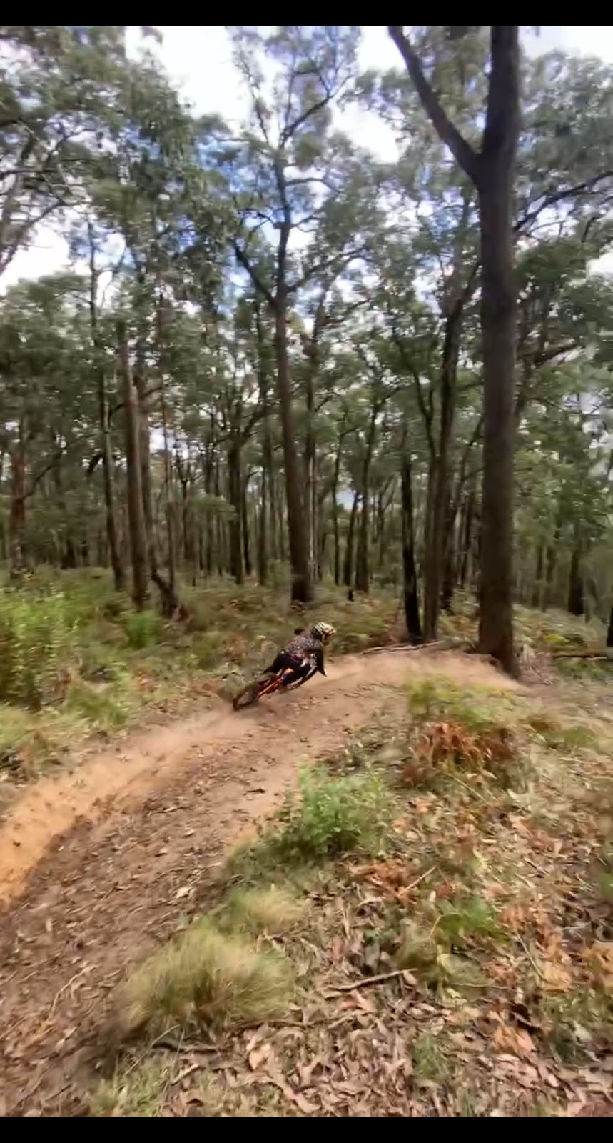 Channel 10 Downhill Mountain Bike Track | Burkes Lookout Reserve, 9 Eyre Rd, Mount Dandenong VIC 3767, Australia | Phone: 0490 893 000